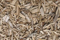 biomass boilers Elm