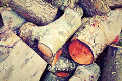 Elm wood burning boiler costs